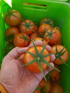 IMG_20260425_120446_056