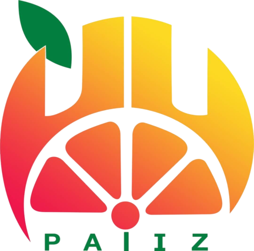 palizholding